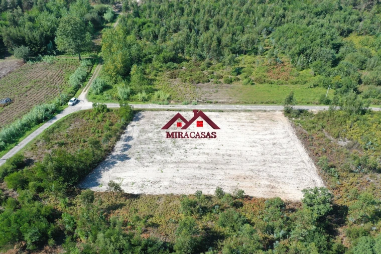 Terreno para Venda em Mira Foto 4