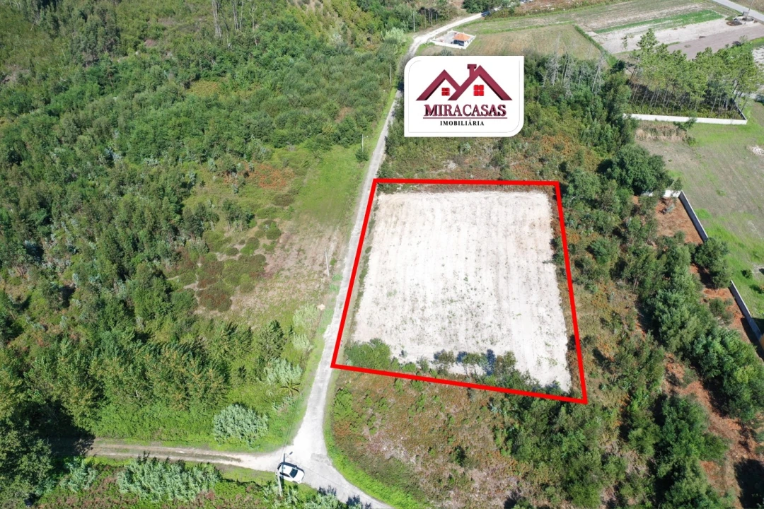 Terreno para Venda em Mira Foto 12