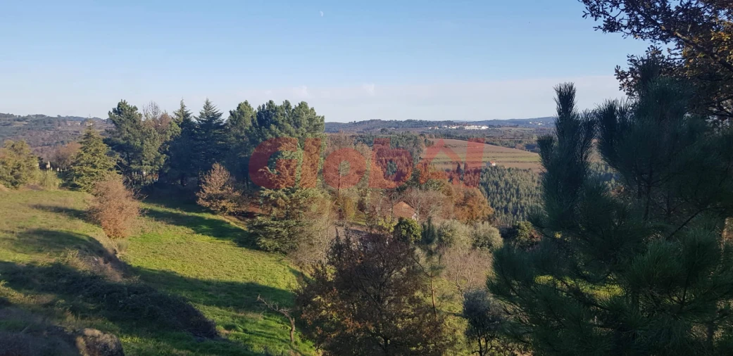 Quinta T0 para Venda em Santos Evos Foto 3