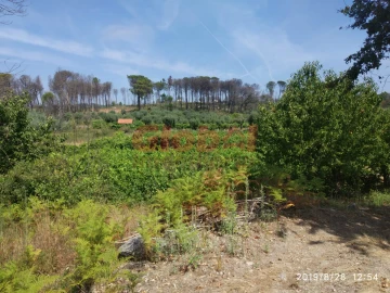 Terreno Agricola ou Rústico para Venda em Silgueiros