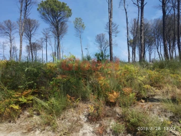 Terreno Agricola ou Rústico para Venda em Silgueiros