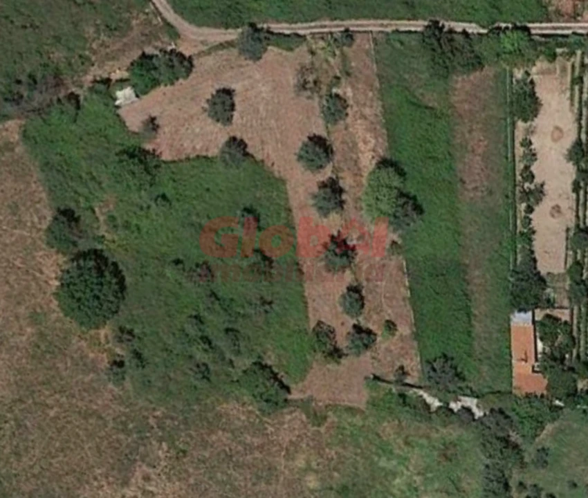 Terreno Agricola ou Rústico para Venda em Repeses e São Salvador Foto 1