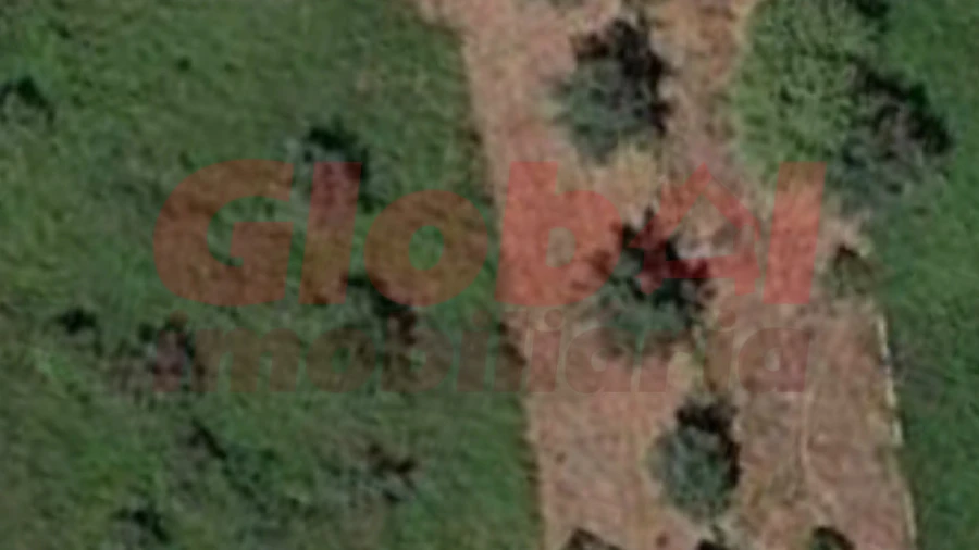 Terreno Agricola ou Rústico para Venda em Repeses e São Salvador