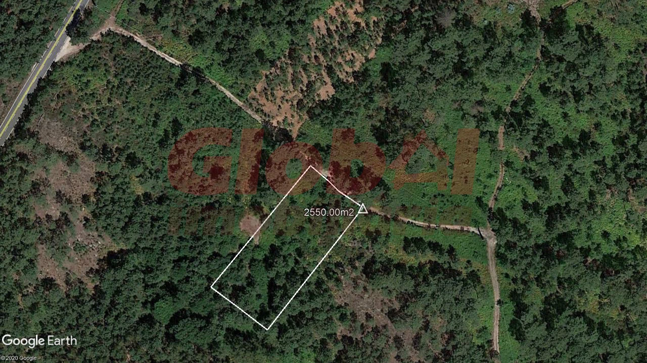 Terreno Agricola ou Rústico para Venda em Santos Evos Foto 1