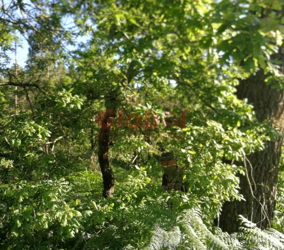 Terreno Agricola ou Rústico para Venda em Santos Evos Foto 3