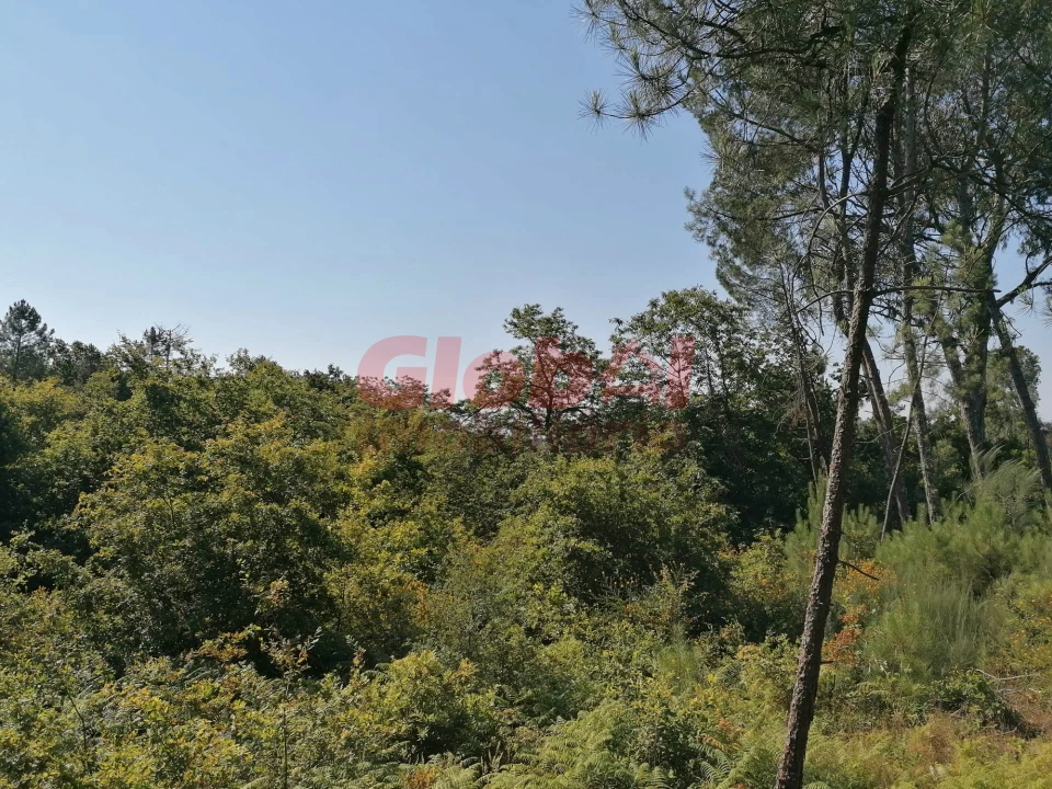 Terreno para Venda em Ranhados Foto 4