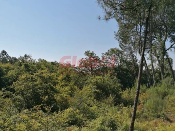 Terreno para Venda em Ranhados