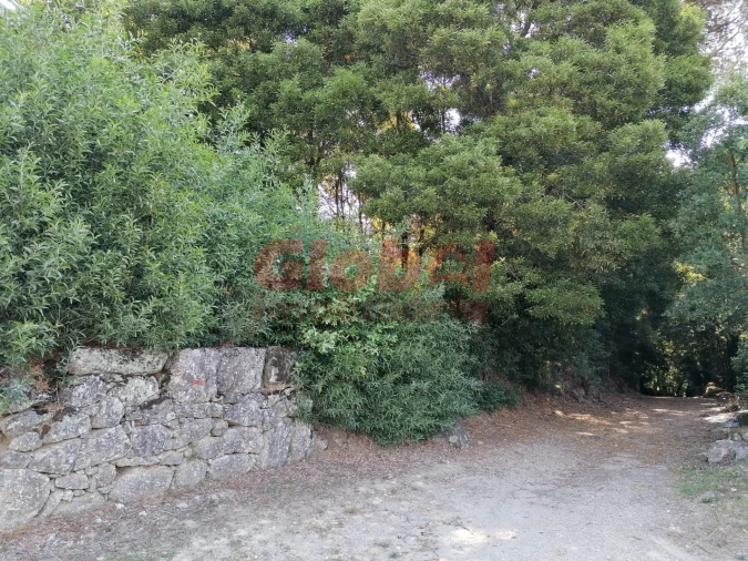 Terreno para Venda em Ranhados Foto 3