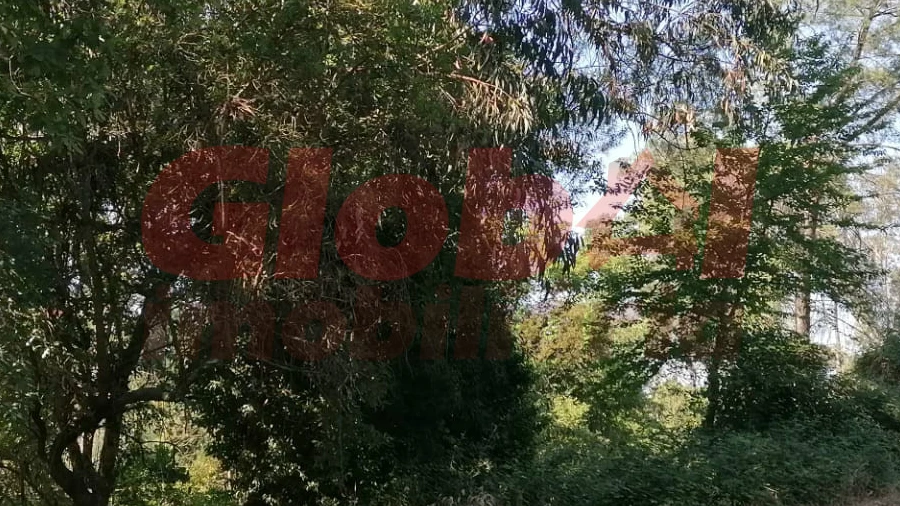 Terreno para Venda em Ranhados