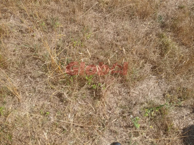 Terreno para Venda em Calde Foto 3