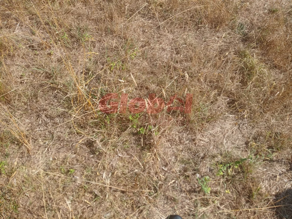 Terreno para Venda em Calde Foto 3