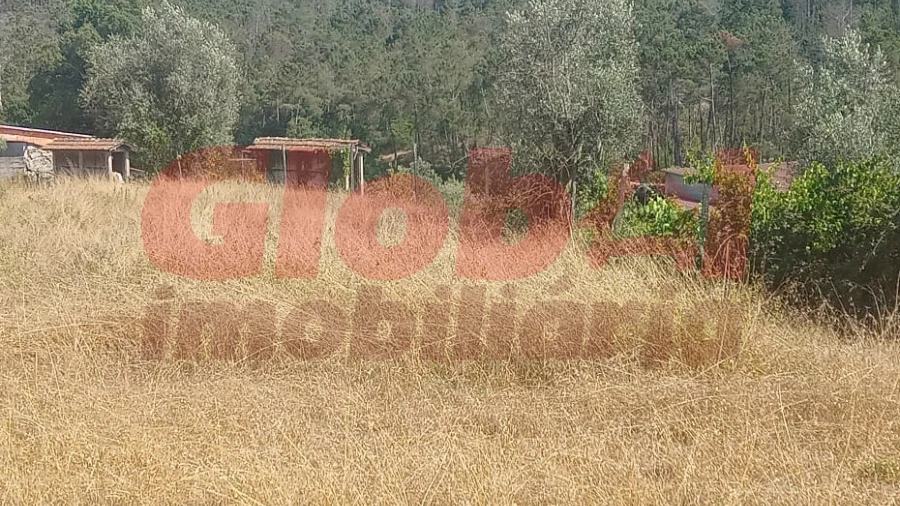 Terreno para Venda em Calde