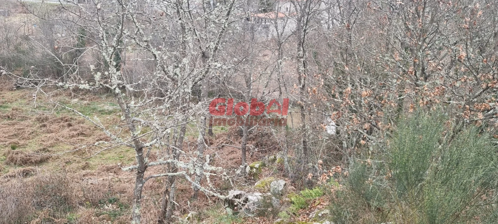 Terreno Agricola ou Rústico para Venda em Fragosela Foto 2