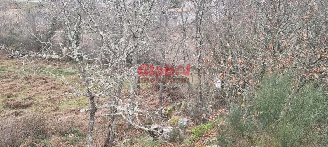 Terreno Agricola ou Rústico para Venda em Fragosela Foto 2
