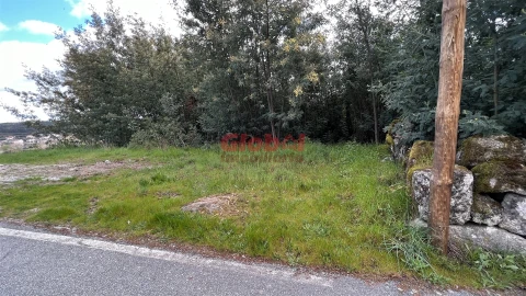 Terreno para Venda em Bodiosa