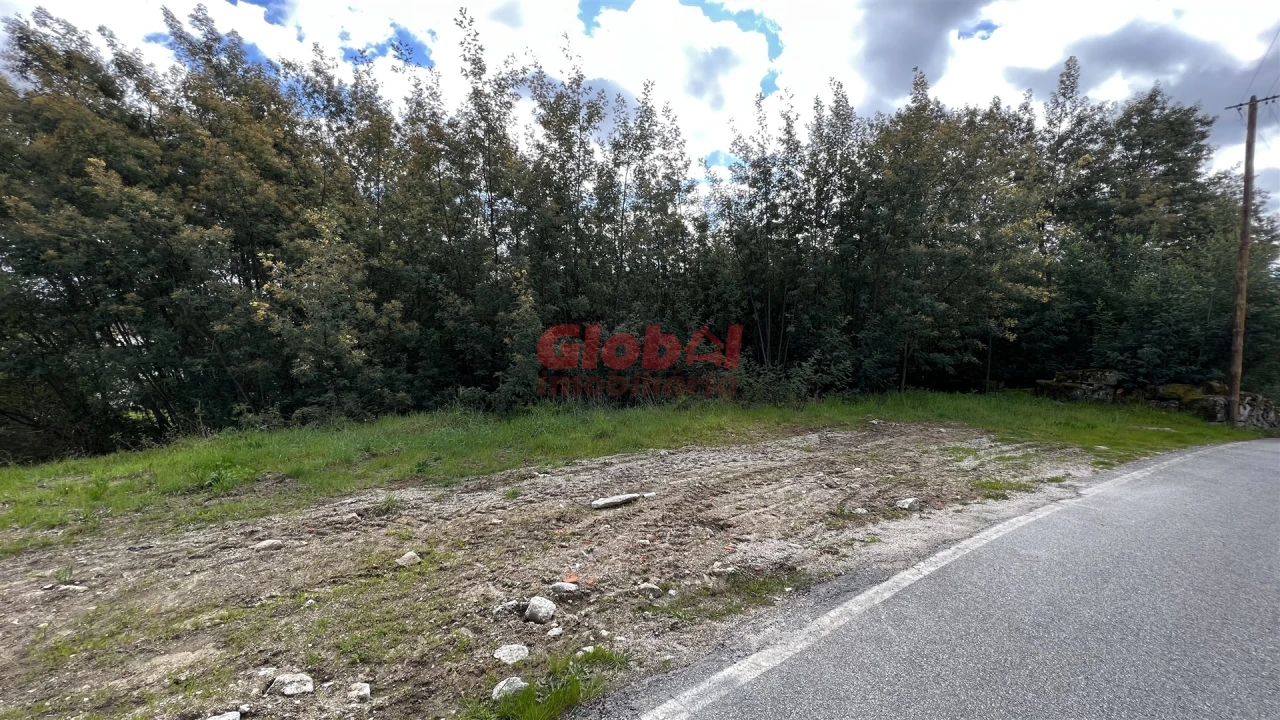 Terreno para Venda em Bodiosa Foto 3