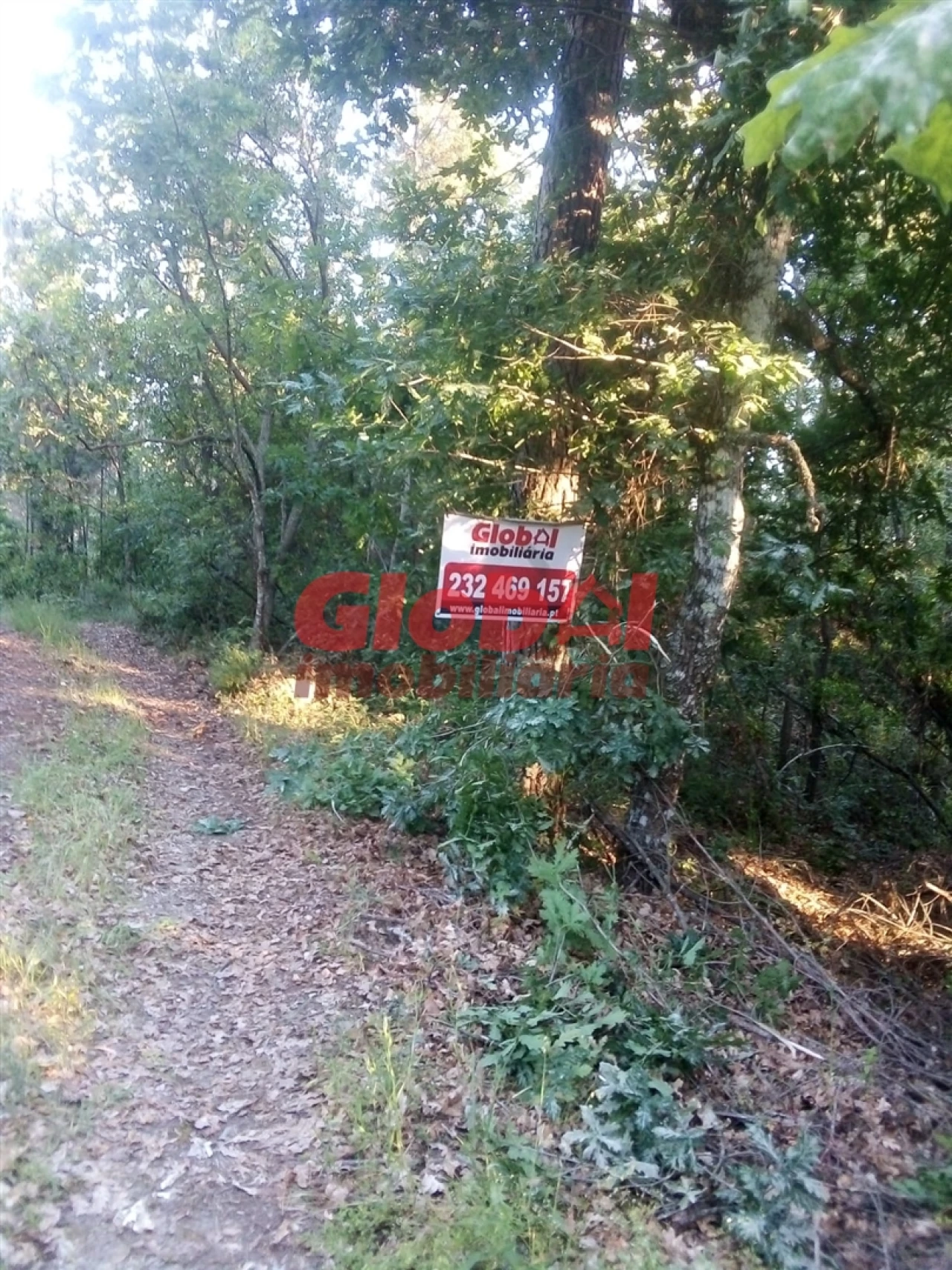 Terreno para Venda em São Cipriano e Vil de Souto Foto 1