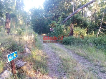 Terreno para Venda em São Cipriano e Vil de Souto
