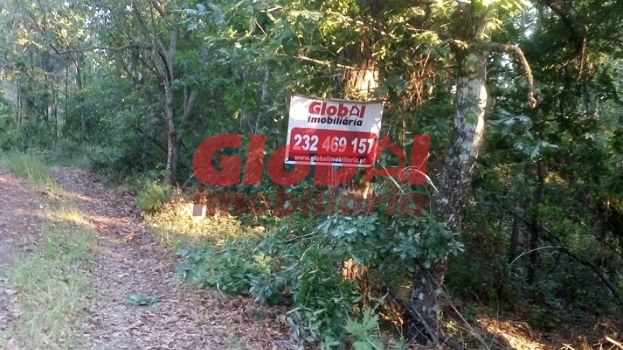 Terreno para Venda em São Cipriano e Vil de Souto
