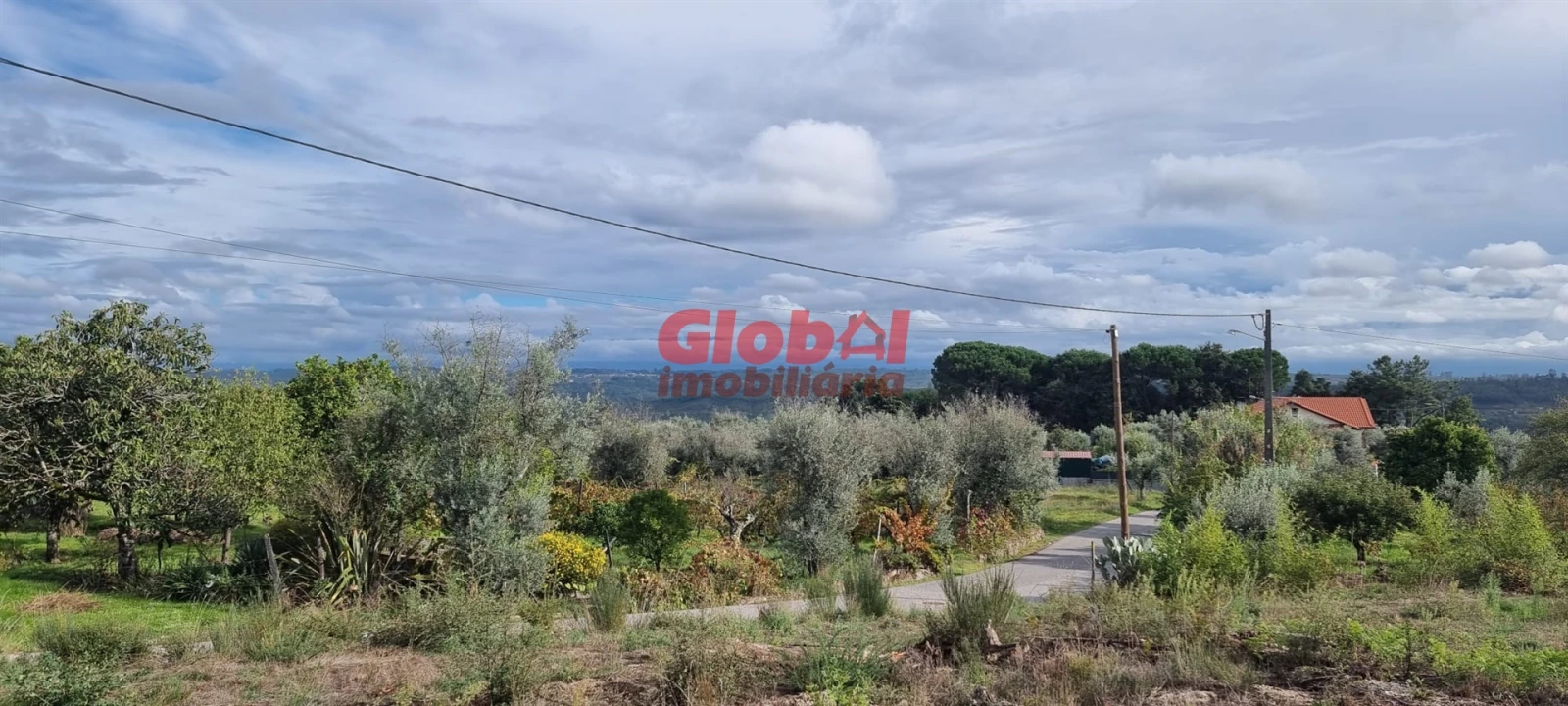 Terreno para Venda em Lajeosa do Dão Foto 3