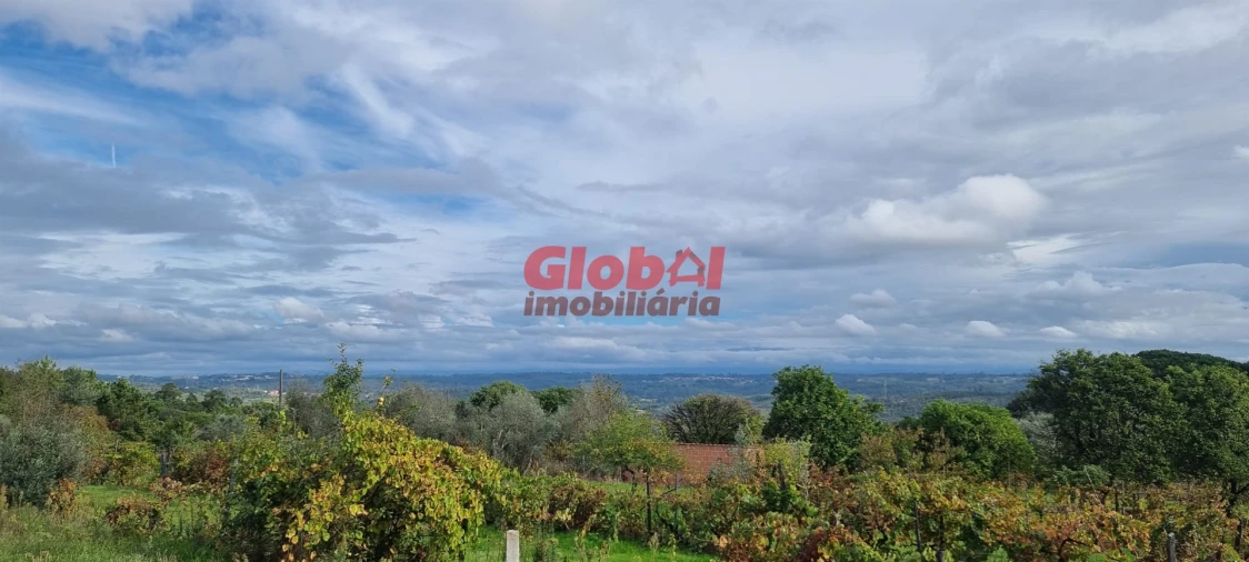 Terreno para Venda em Lajeosa do Dão Foto 5