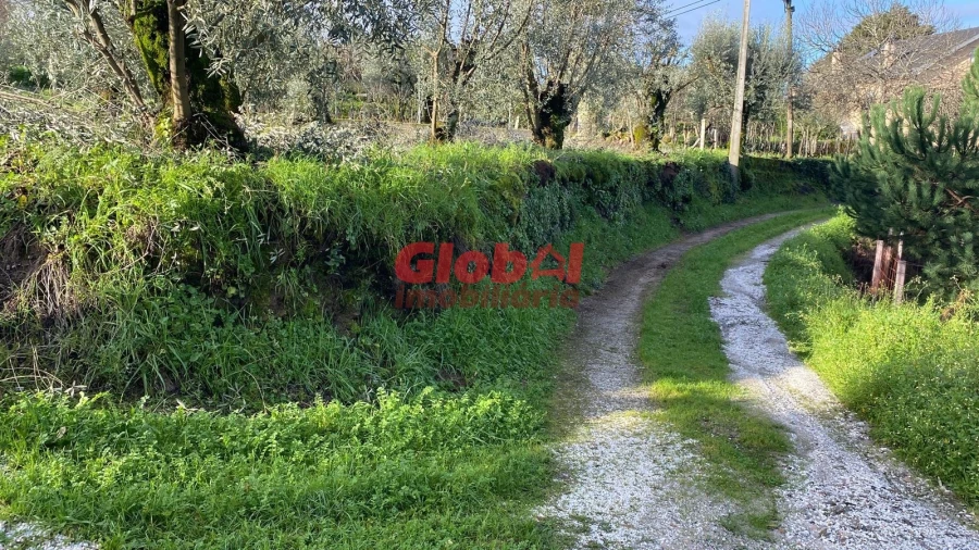 Terreno para Venda em Alcafache Foto 2