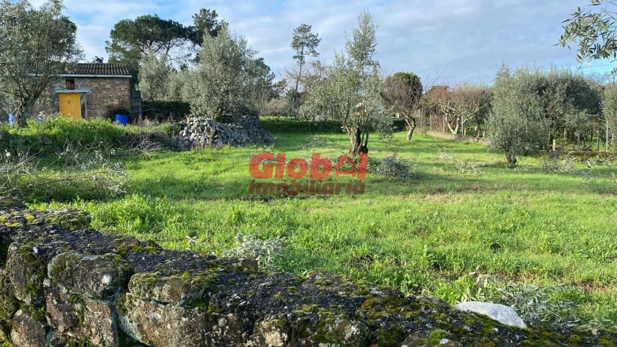 Terreno para Venda em Alcafache