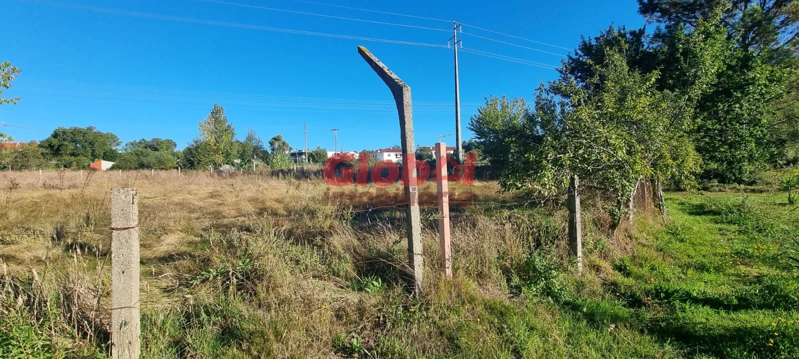 Terreno para Venda em Rio de Loba Foto 1