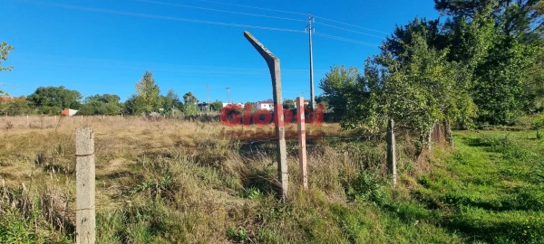 Terreno para Venda em Rio de Loba