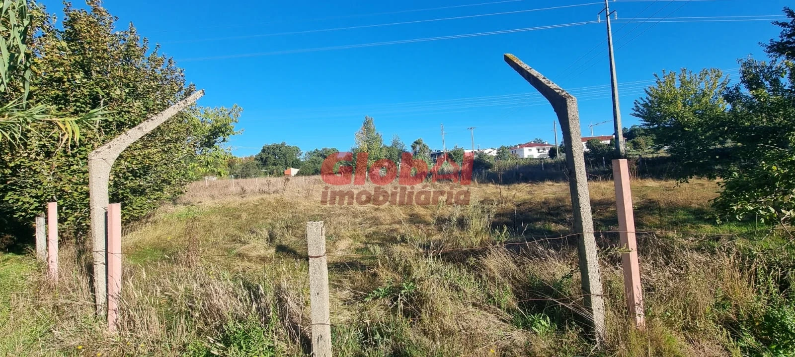 Terreno para Venda em Rio de Loba Foto 3