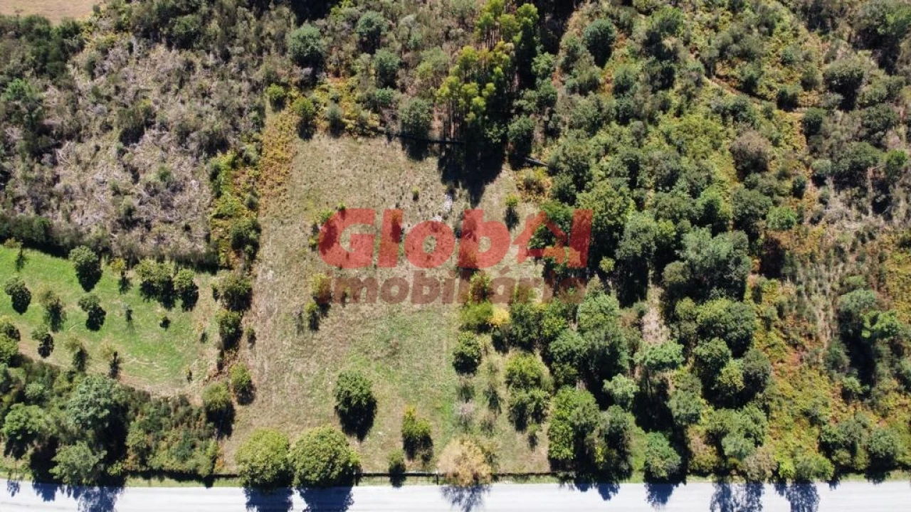 Terreno para Venda em Ferreira de Aves Foto 5