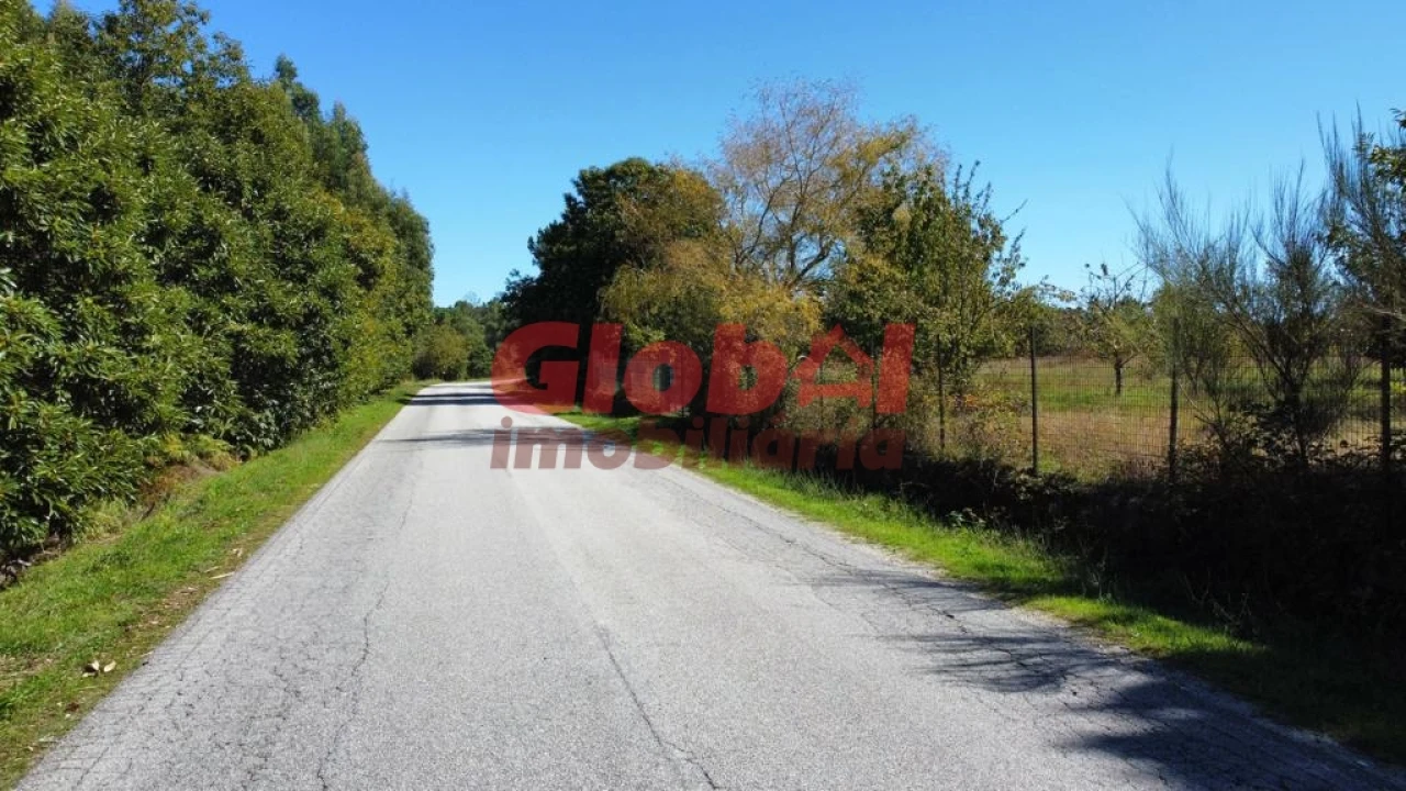 Terreno para Venda em Ferreira de Aves Foto 1