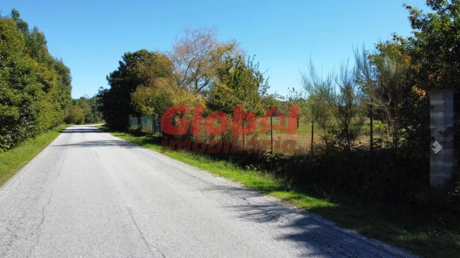 Terreno para Venda em Ferreira de Aves Foto 3