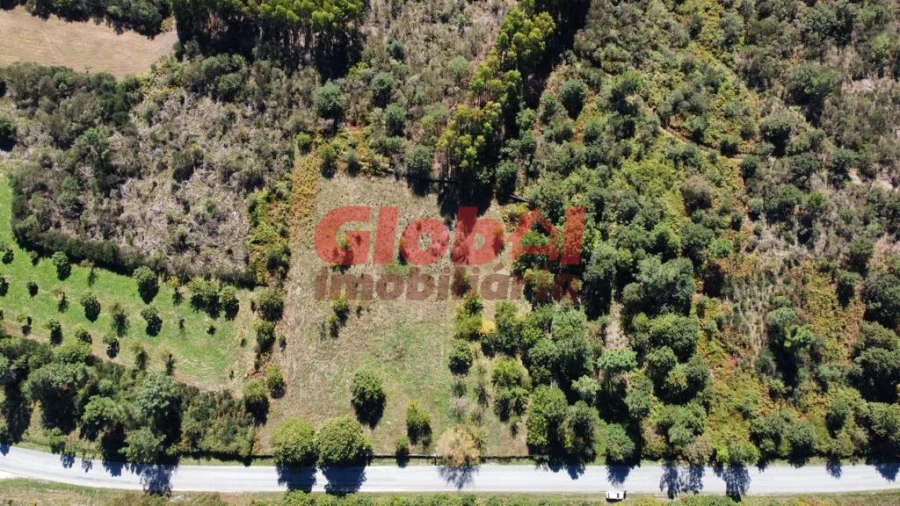 Terreno para Venda em Ferreira de Aves Foto 6