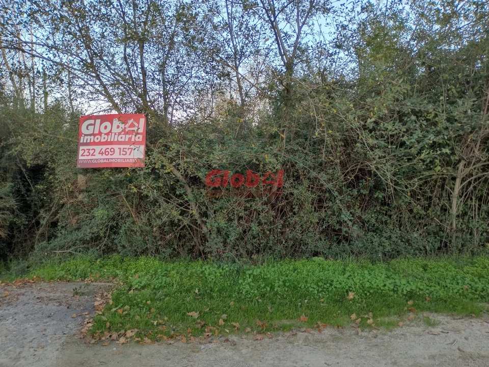 Terreno Agricola ou Rústico para Venda em Queirã Foto 3
