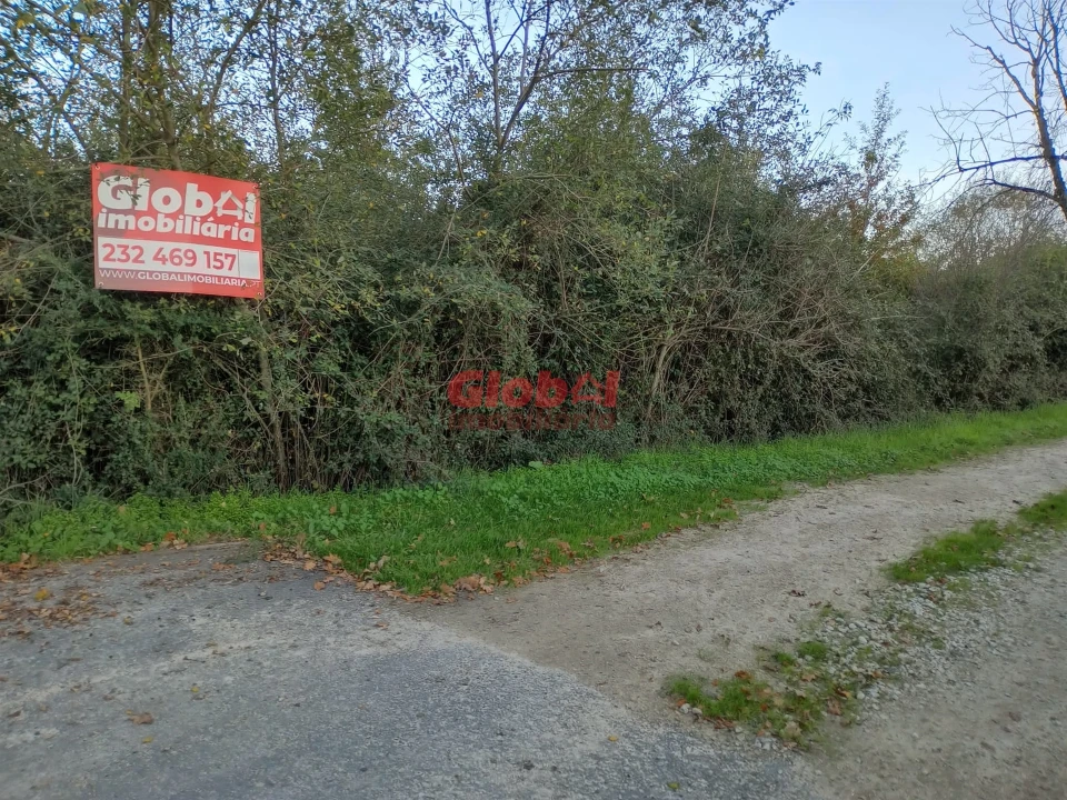 Terreno Agricola ou Rústico para Venda em Queirã Foto 1