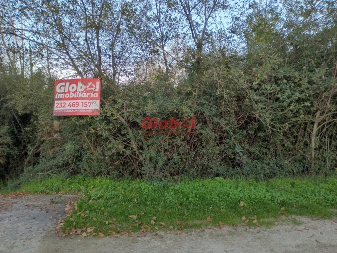 Terreno Agricola ou Rústico para Venda em Queirã Foto 3