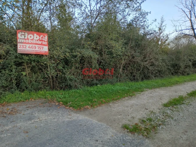 Terreno Agricola ou Rústico para Venda em Queirã Foto 1