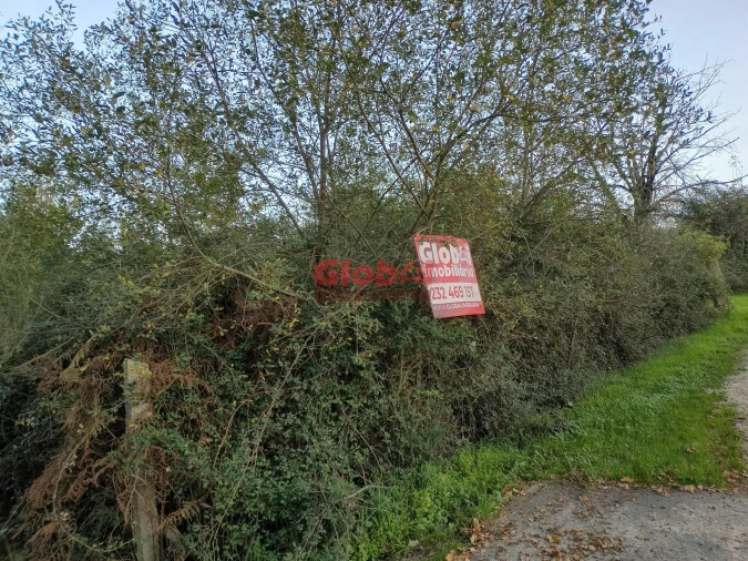 Terreno Agricola ou Rústico para Venda em Queirã Foto 2
