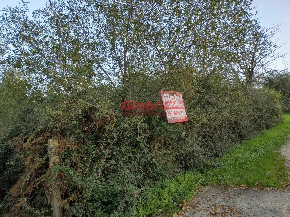 Terreno Agricola ou Rústico para Venda em Queirã Foto 2