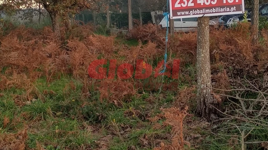 Terreno para Venda em Queirã