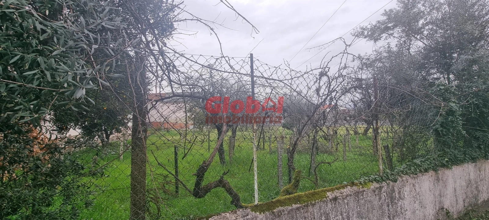 Terreno para Venda em Rio de Loba Foto 1