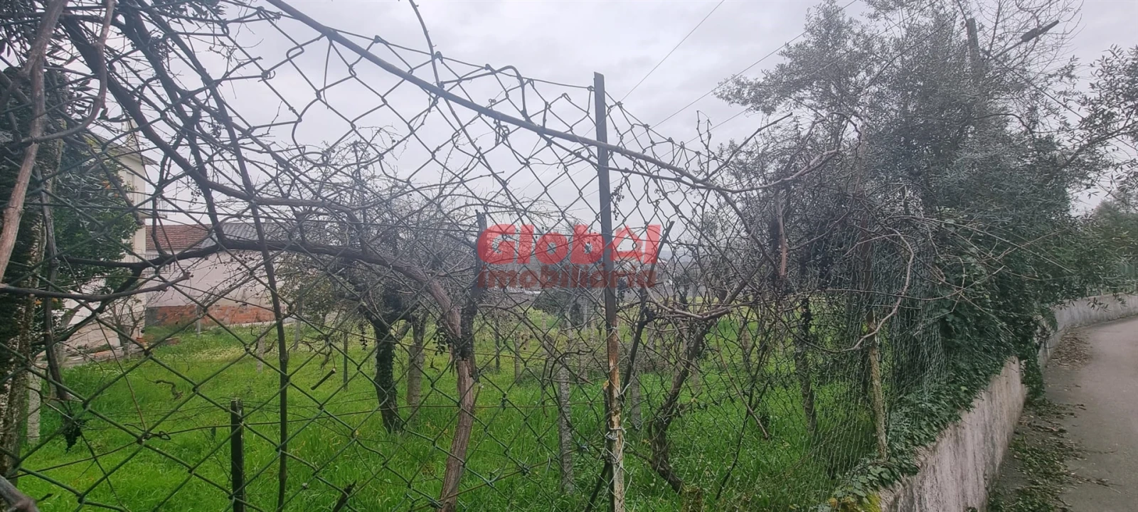 Terreno para Venda em Rio de Loba Foto 3