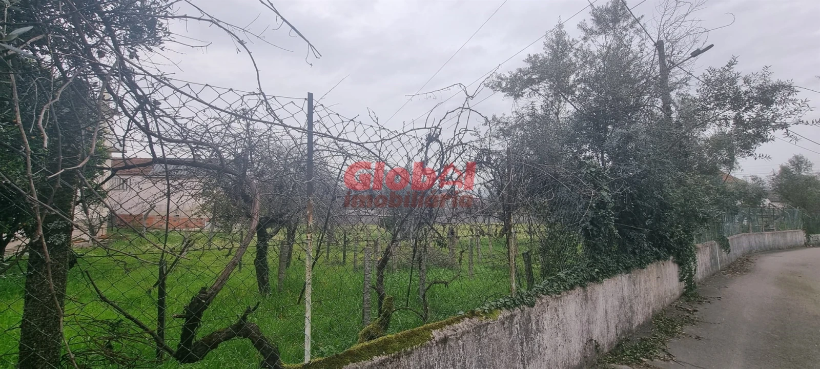 Terreno para Venda em Rio de Loba Foto 1