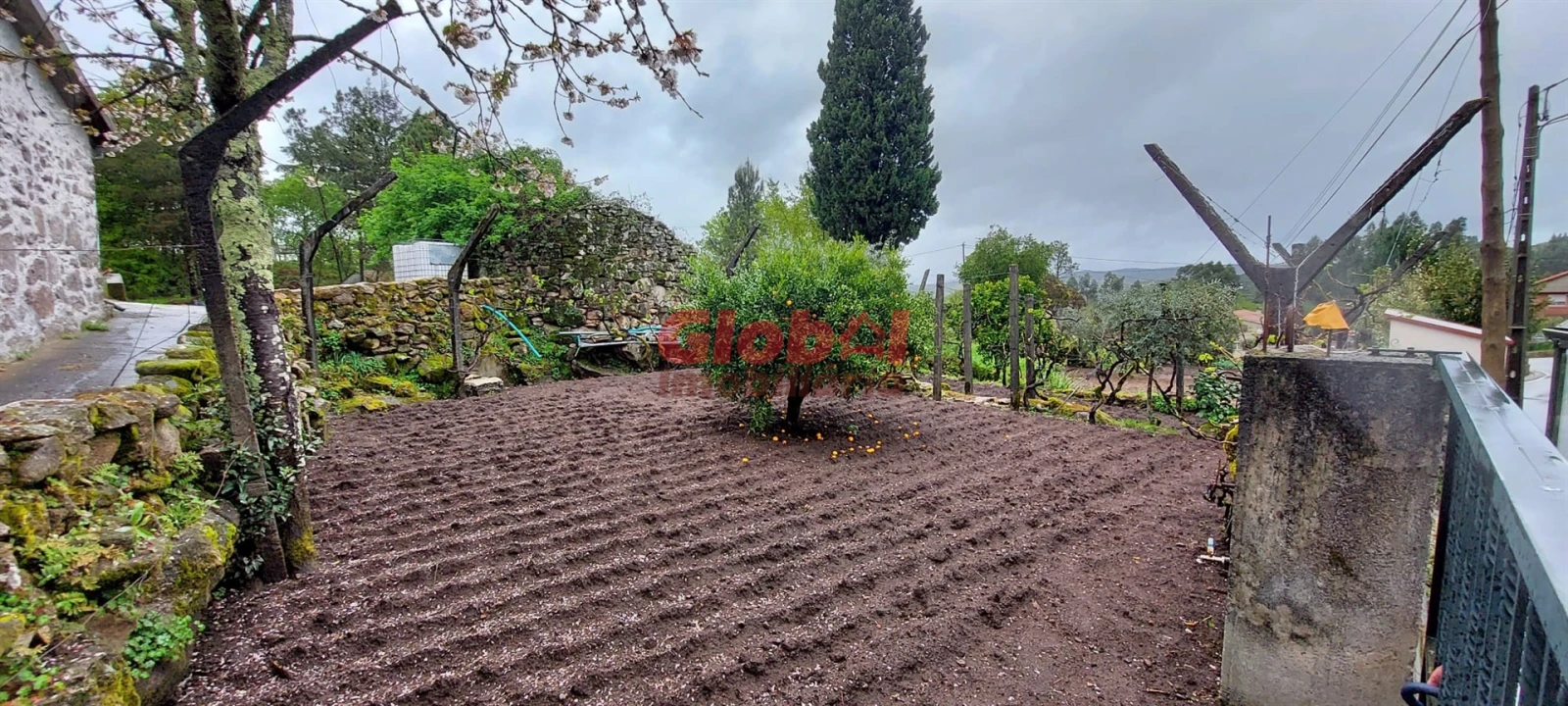 Terreno para Venda em Bodiosa Foto 4