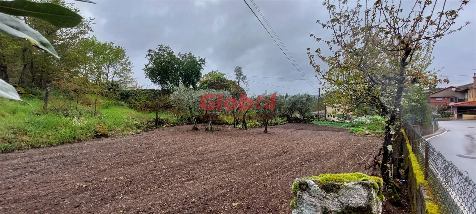 Terreno para Venda em Bodiosa Foto 2