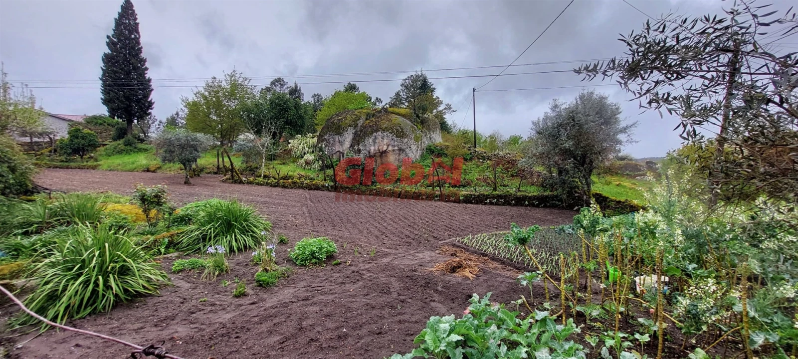 Terreno para Venda em Bodiosa Foto 5