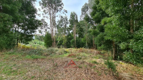 Terreno para Venda em Leiria, Pousos, Barreira e Cortes
