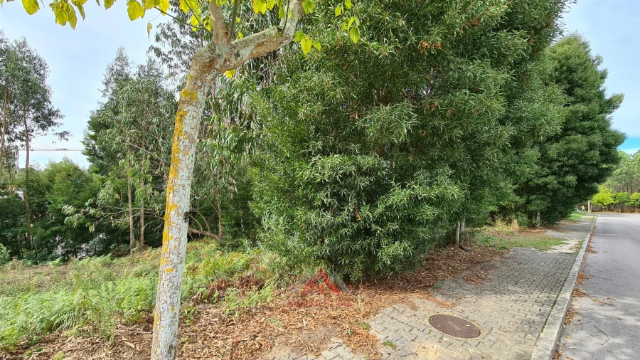Terreno para Venda em Leiria, Pousos, Barreira e Cortes Foto 20
