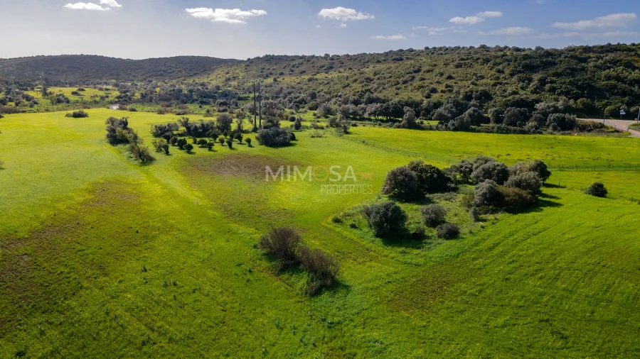 Terreno para Venda em Bensafrim e Barão de São João Foto 8